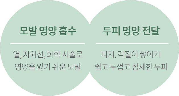 모발 영양 흡수/두피 영양 전달