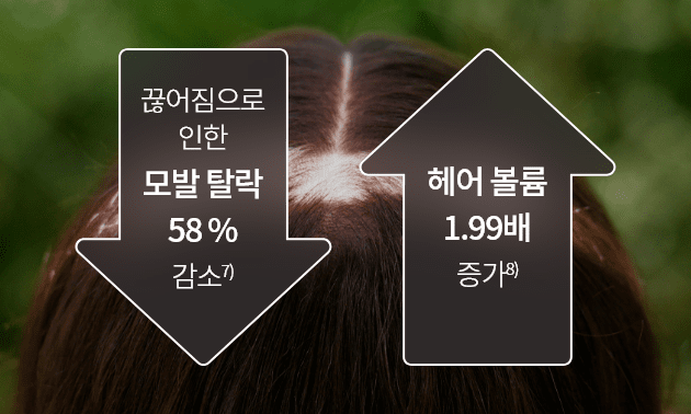 끊어짐으로 인한 모발 탈락 58% 감소7) / 헤어 볼륨 1.99배 증가8)