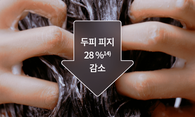 두피 피지 28%14) 감소