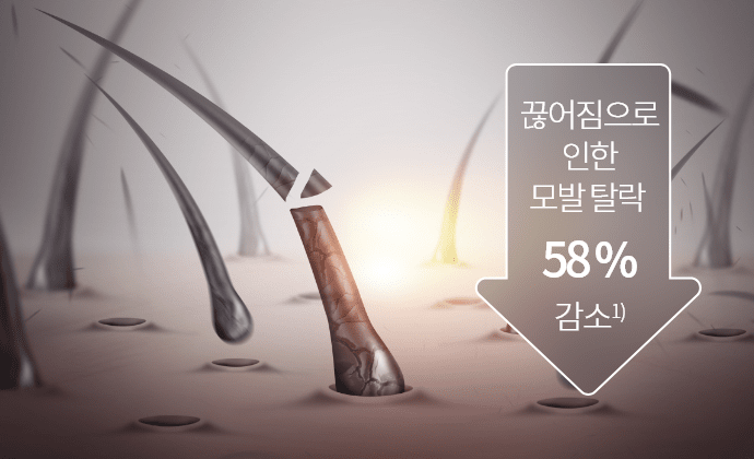 끊어짐으로 인한 모발 탈락 58% 감소1)