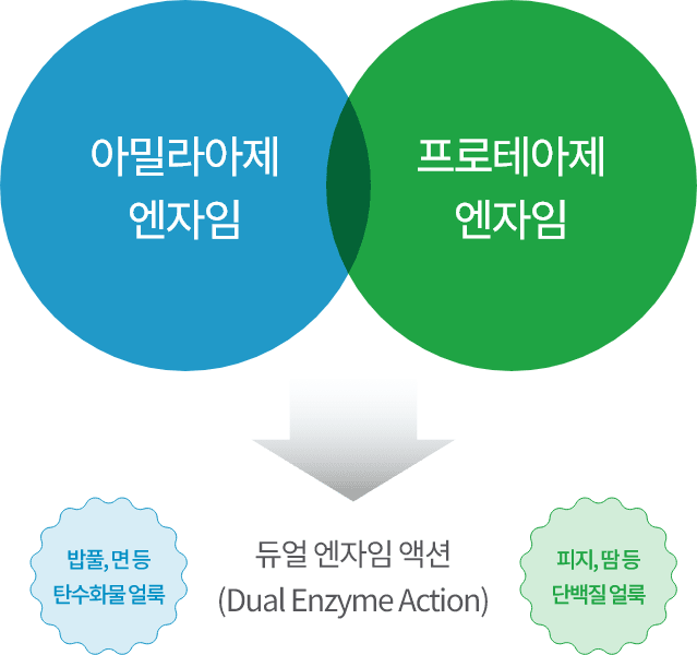 듀얼 엔자임 액션(Dual Enzyme Action) 도표