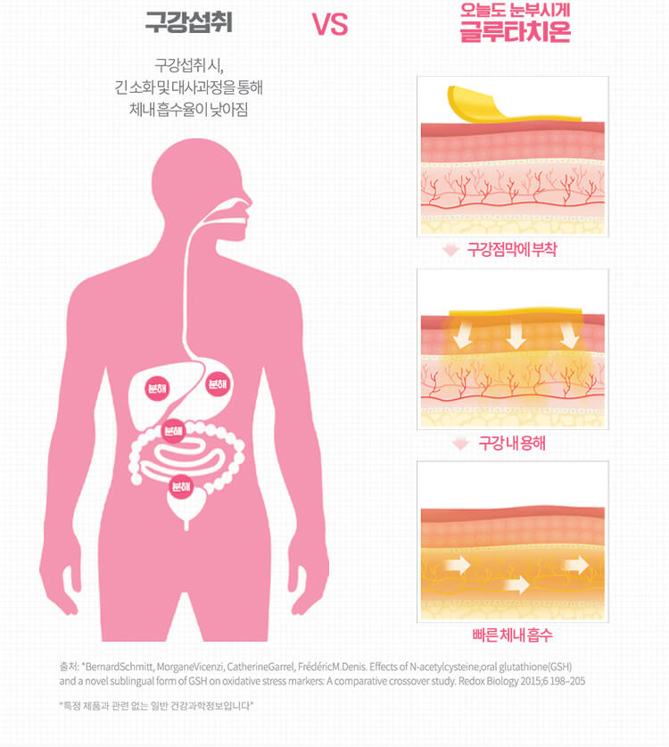 구강섭취 구강섭취 시, 긴 소화 및 대사과정을 통해 체내 흡수율이 낮아짐 VS 오늘도 눈부시게 글루타치온 구강점막에 부착 구강 내 용해 빠른 체내 흡수