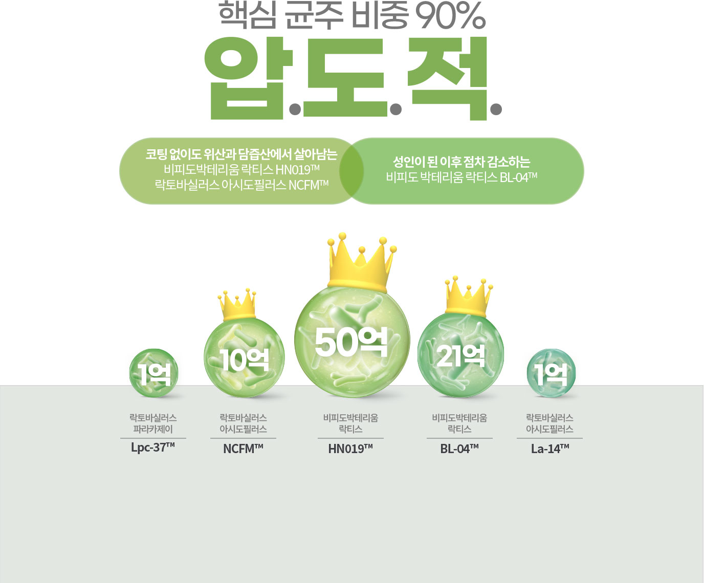 핵심 균주 비중 90% 압.도.적