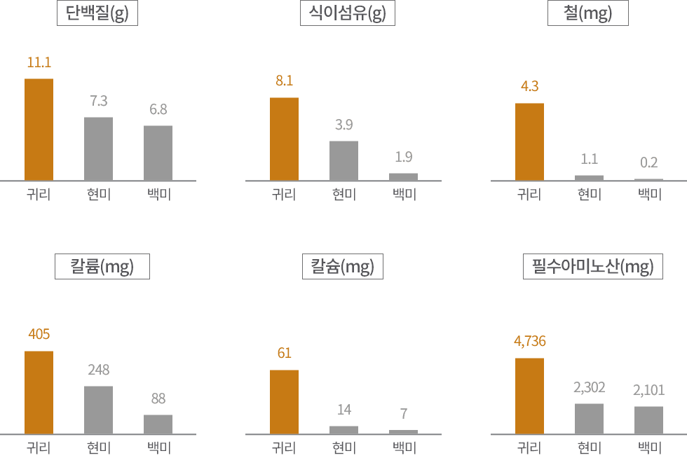 단백질(g), 식이섬유(g), 철(mg), 칼륨(mg), 칼슘(mg), 필수아미노산(mg) 에 대한 귀리, 현미, 백미 함량 그래프